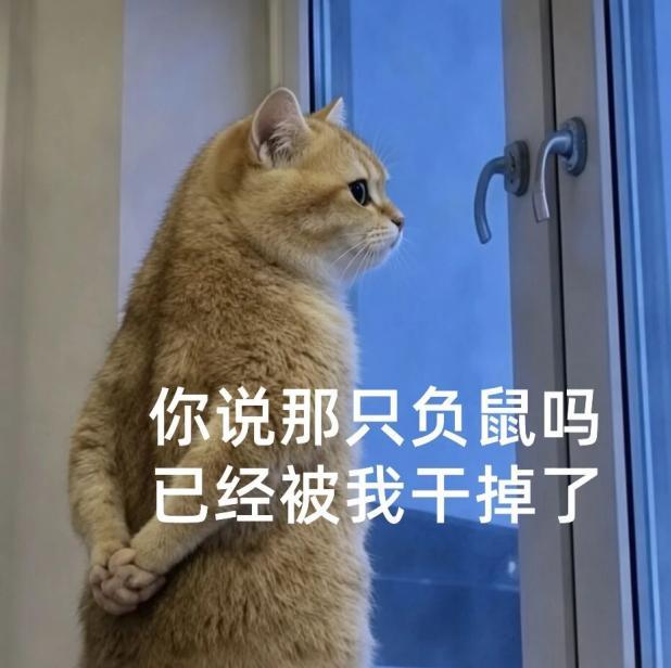 背手负鼠火了 表情包引发共鸣