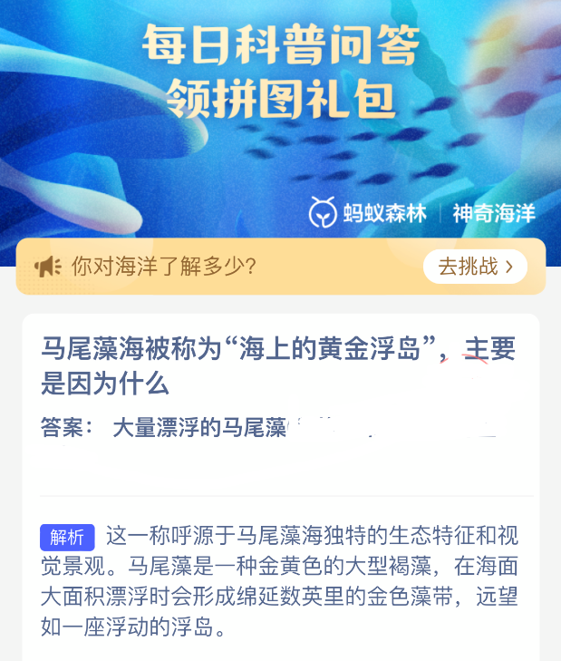 马尾藻海被称为海上的黄金浮岛主要是因为什么