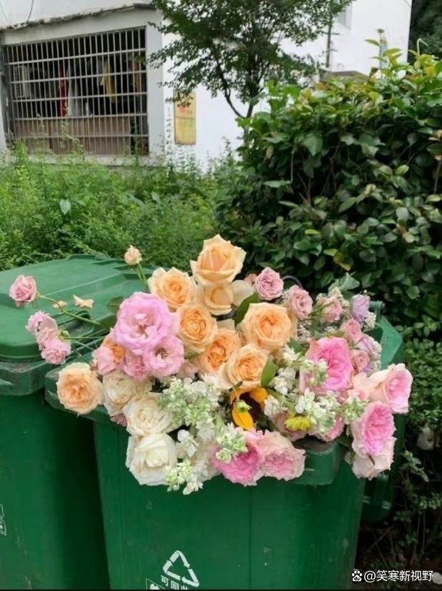 520垃圾桶变花桶 网友调侃：今晚相约捡鲜花去吗？