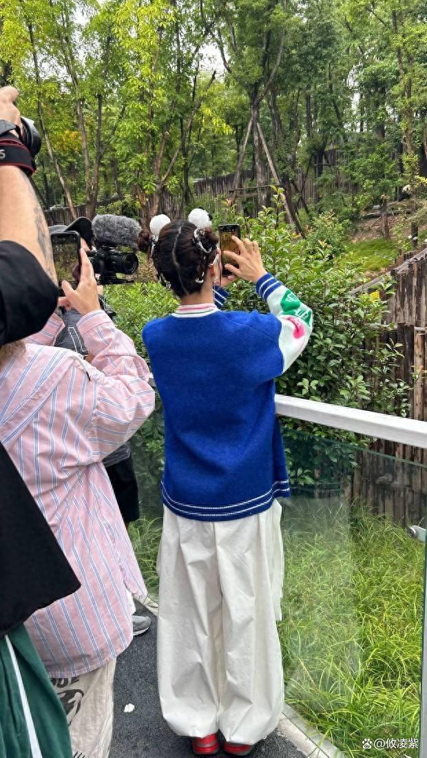 蔡依林打卡四川熊猫基地 戴着熊猫看熊猫笑得合不拢嘴