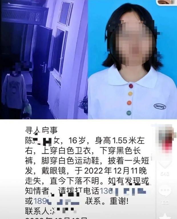 涉事悬崖秋千单次398元 生命代价背后的冷酷算计