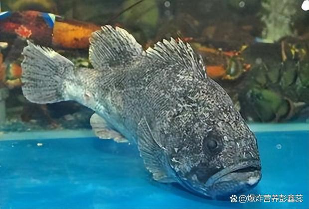 两广人警惕这种伪装成河鲜的杀手