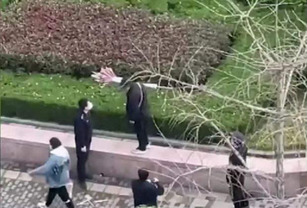 城管暴力将商贩糖葫芦扔进绿化带，官方回应：确有此事