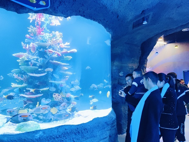 遇海“襄”见！湖北首个IP海洋探索馆启幕