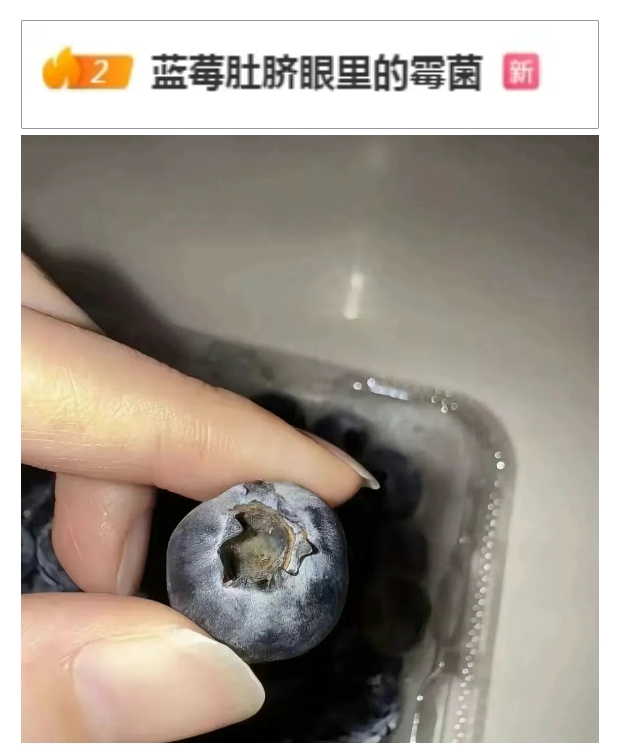 “漿果之王”有霉菌,？吃前記得給它掏“耳朵”