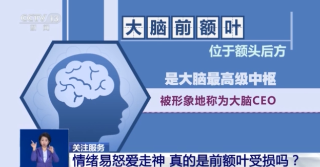 易怒愛走神是前額葉受損嗎？專家解讀來了