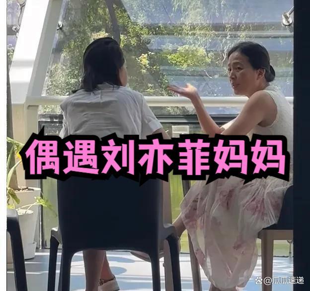 网友偶遇了刘亦菲妈妈