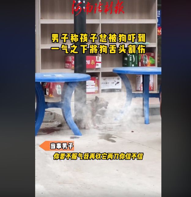 男子割伤狗舌头称其吓到自己小孩 遭指责后回怼：我再砍它两刀！