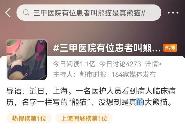 熊猫七七因肠梗阻送医  已会诊决定对“七七”实施手术