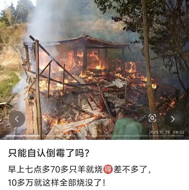 廣東一羊圈著火致數(shù)十只羊被燒死 養(yǎng)殖戶(hù)損失慘重