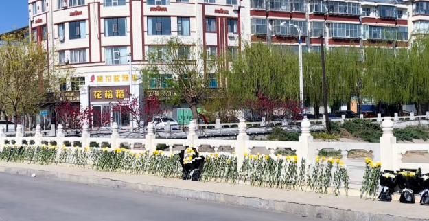 多方回应三人救落水女子遇难 英雄事迹感动全城