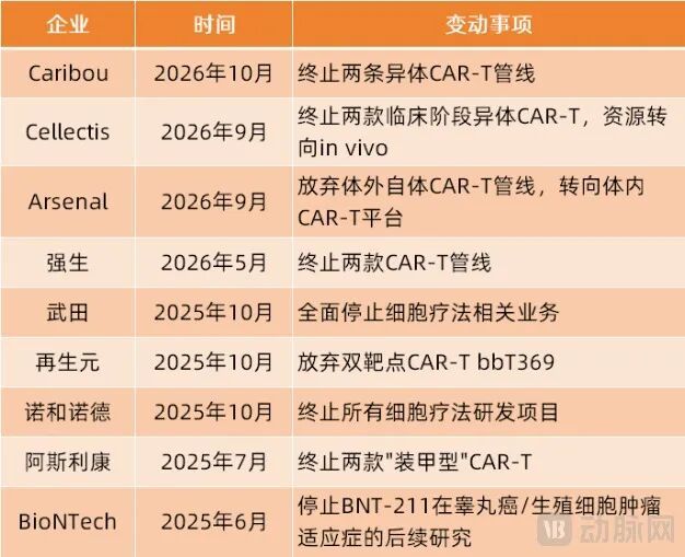 海外砍管线、国内砸重金，国产CAR-T凭什么被资本追着投？