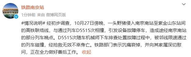 铁路一机械师被列车撞亡 曾下车排查处置故障 野猪引发事故悲剧