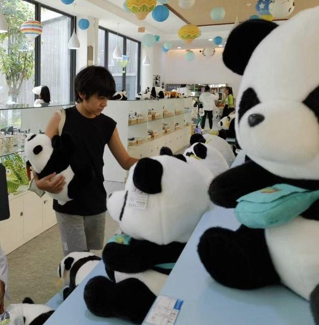 刘烨儿女在熊猫基地被偶遇，诺一背帆布包好朴实，兄妹俩晒黑不少