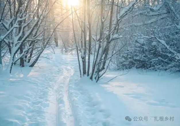 今年“三九”不冷,，以后還會冷嗎,？ 暖冬后續(xù)或有嚴(yán)寒