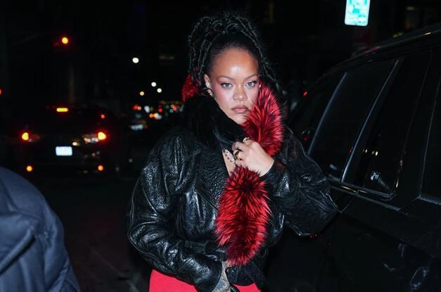 女子朝蕾哈娜家开枪被捕