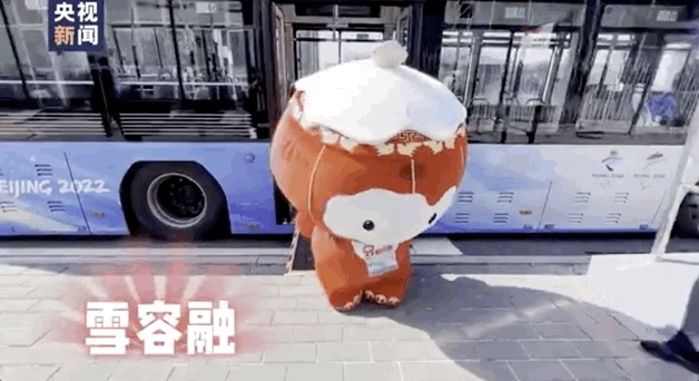 中国队喜提8个“金容融”！新晋“顶流”太萌啦