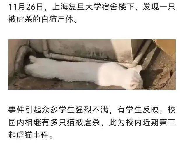 张馨予、赵露思等明星被人肉“开盒”后，让我确信“恶魔”在人间