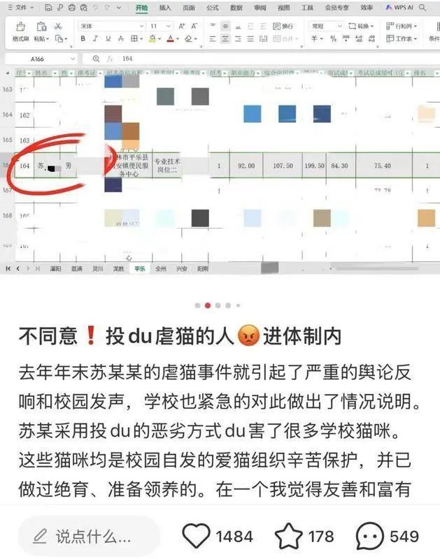 招聘單位回應(yīng)考生確系虐貓當(dāng)事人 考察階段將深入調(diào)查