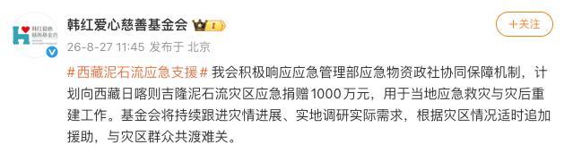 韩红基金会捐赠1000万元驰援西藏 助力灾后重建