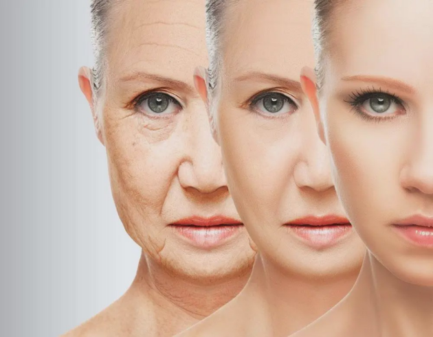 衰老不可逆？这个发现会改变你对衰老的“偏见”！