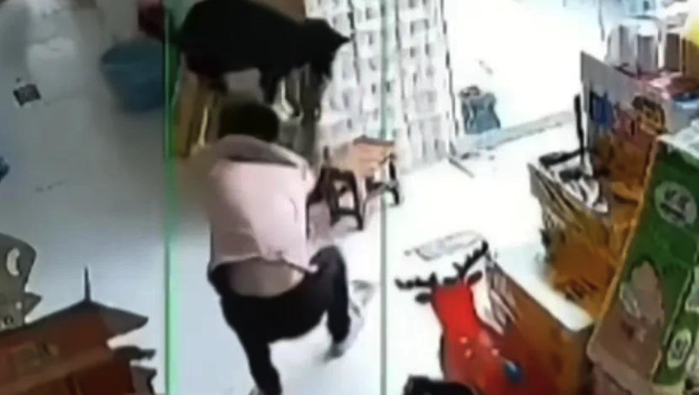 狗进店欲袭击孩子被男子制服 网友有人质疑有人支持