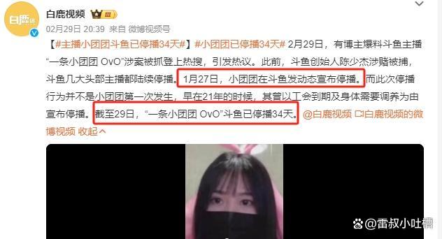 一条小团团单月礼物收入曾高达500万 涉博且与陈少杰_