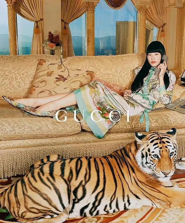 GUCCI用真老虎拍广告引争议 有老虎站在钢琴上，也有老虎卧在地毯上