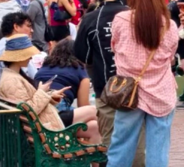 LA迪士尼偶遇刘亦菲 被粉丝称“迪士尼公主回家”