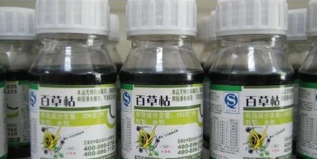 奇迹！男子喝下一大口百草枯 尿液全黑 医生吓坏，抢救28天后出院！