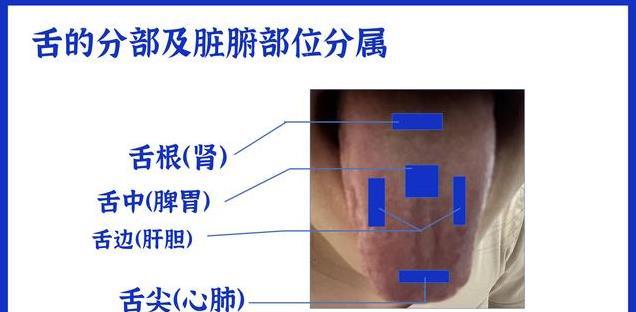 除了淡红舌薄白苔，这几种情况的舌象的情况也属于正常的生理现象