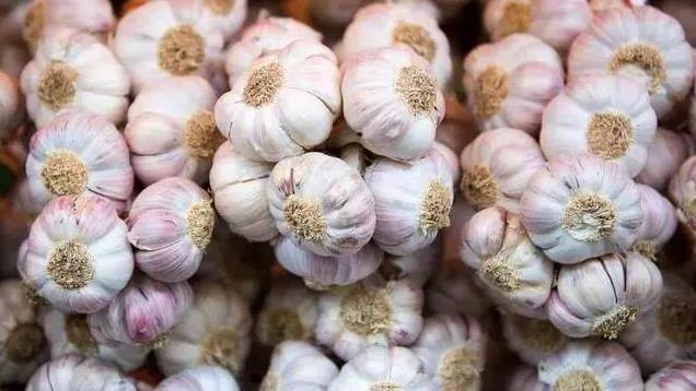 新鲜蔬菜别直接放冰箱，教你正确保存方法，保持新鲜，营养不流失