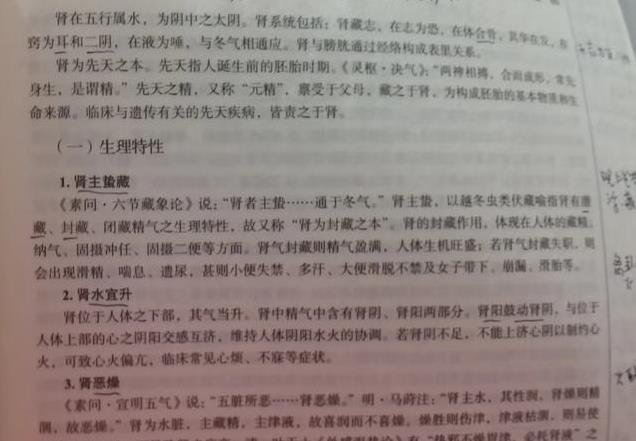 中医基础—肾系统