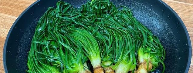 这野菜全身是宝，农村田间随处可见，春天包饺子真香，错过可惜！
