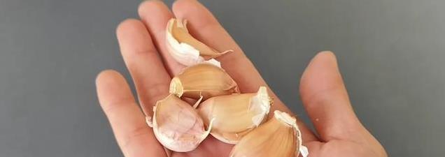 苹果加大蒜蒸一蒸，竟能缓解感冒？老一辈的“神奇”土方法