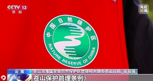 云南大理：4人违规进入苍山被依法立案处理