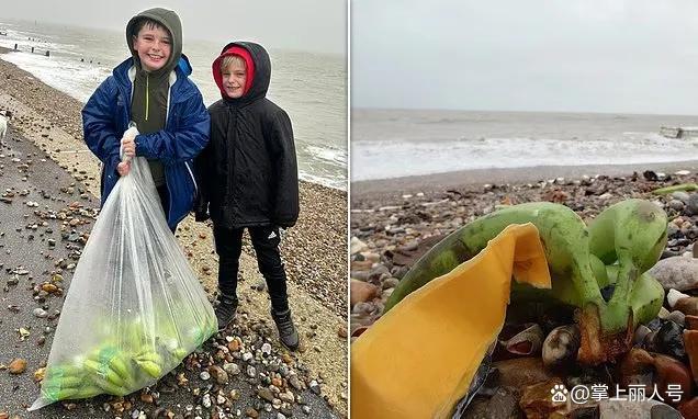 英国现薯条海滩 海上运输事故引发奇特景象