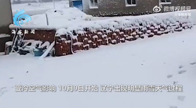 辽宁多地大雪纷飞 积雪没脚踝