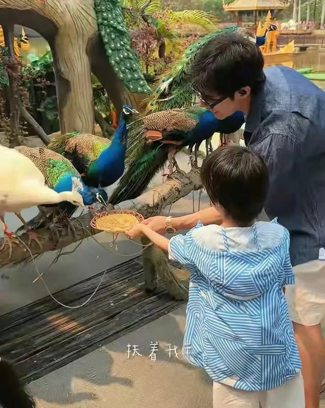 姜潮带娃闯雨林，37岁麦迪娜美成少女，幸福生活羡煞旁人