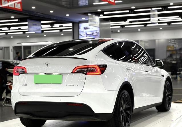 17万入手特斯拉Model Y，省钱又拉风，值不值得买？
