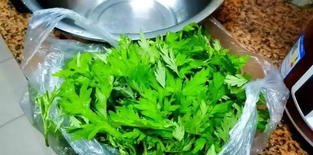 夏天头油痒得烦？试试艾叶洗头，效果让你大吃一惊！