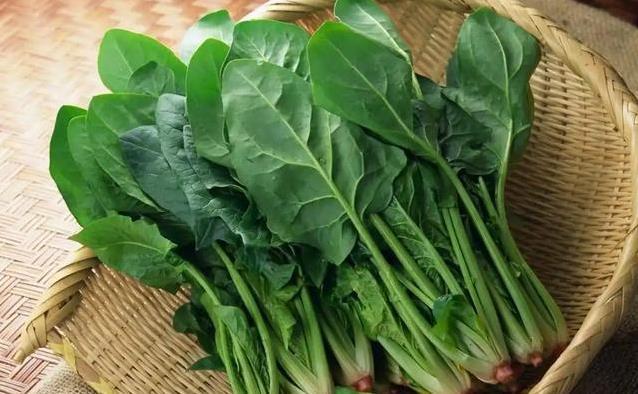 大妈顿顿吃芹菜想清胆，医生却摇头，这3种菜吃多结石更糟？