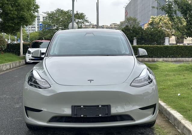 15.98万入手特斯拉Model Y，省钱又拉风，真香还是有坑？