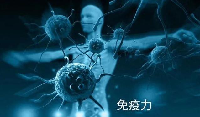 6月身体喊累，厨房藏妙招，3道家常菜赶走湿气轻松瘦