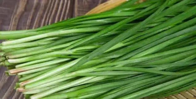紫根韭菜香翻天，白根甜脆咋选？菜农揭秘真相！