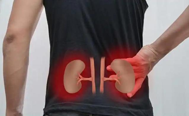 夏天燥热睡不着？黄精一招补三脏，身体舒服到飞起！