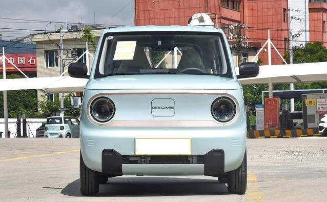 2.99万买吉利熊猫mini，颜值爆表好停车，续航短咋选？