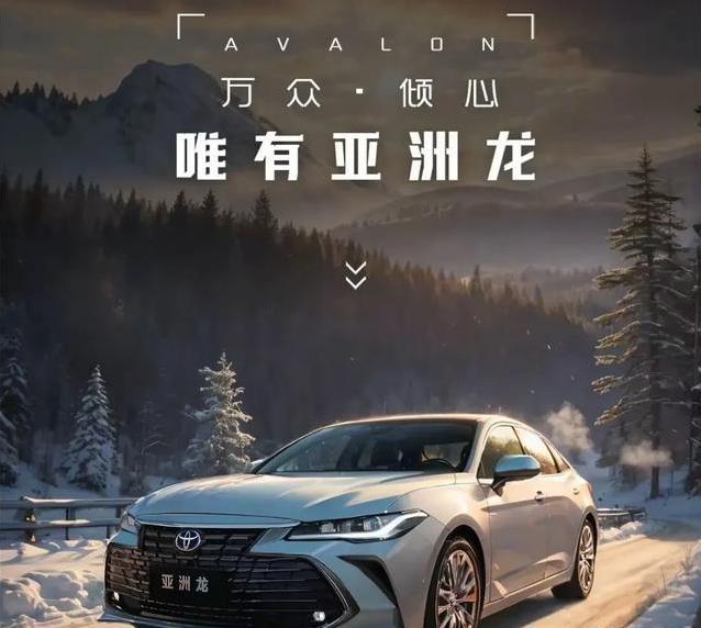 一箱油跑1200公里，亚洲龙带全家自驾游，舒适安全全都要