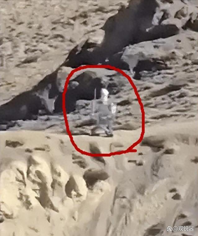 解放军“机器狼”有多硬核！