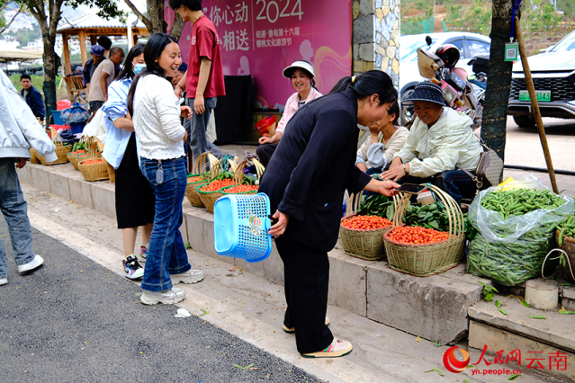 云南鲁甸:樱桃甜蜜上市 赴一场文旅之约